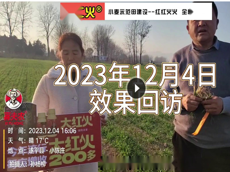 客户见证